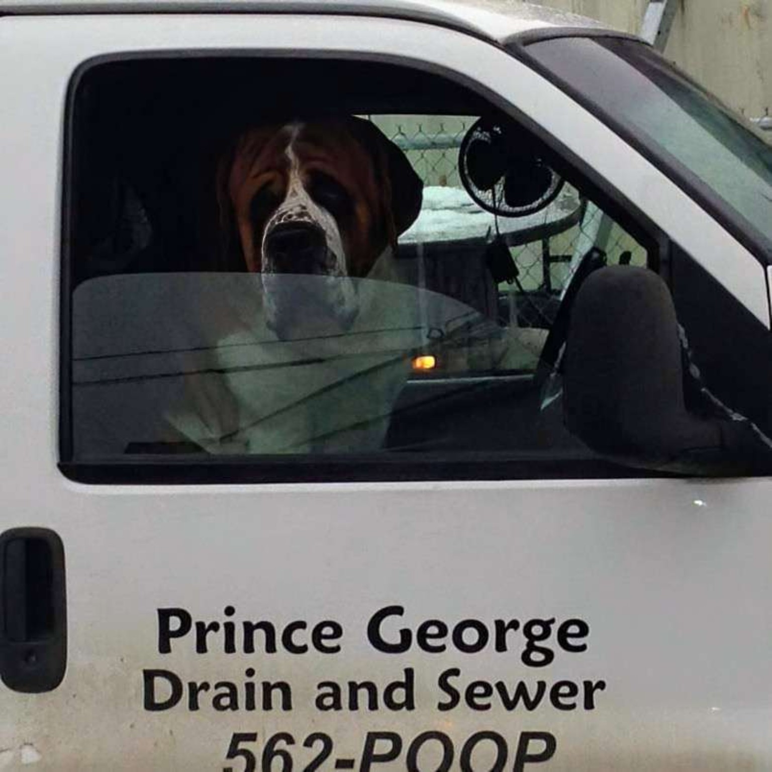 PG Drain & Sewer van photo